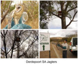 SAJWV - SAHGCA - Springbok Tak - Branch, Brakpan - Gauteng 